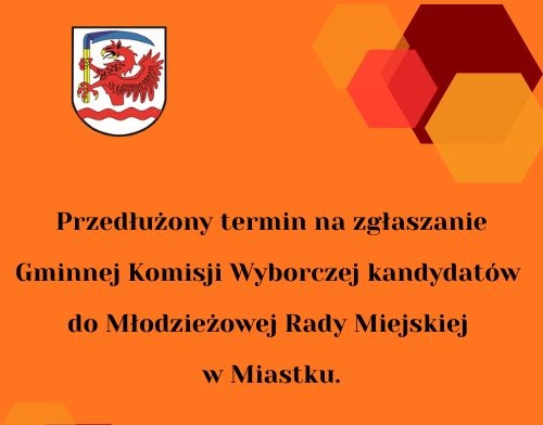 Zdjęcie: Wybory do Młodzieżowej Rady Miejskiej w Miastku – już 15 października!