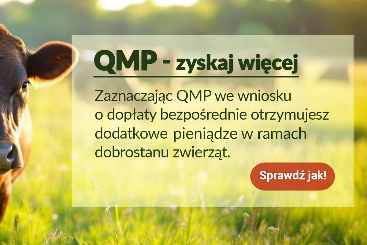 Zdjęcie: EKOSCHEMAT „Dobrostan dla zwierząt”. Dodatkowe pieniądze dla hodowców bydła z QMP – TYLKO DO 16 CZERWCA