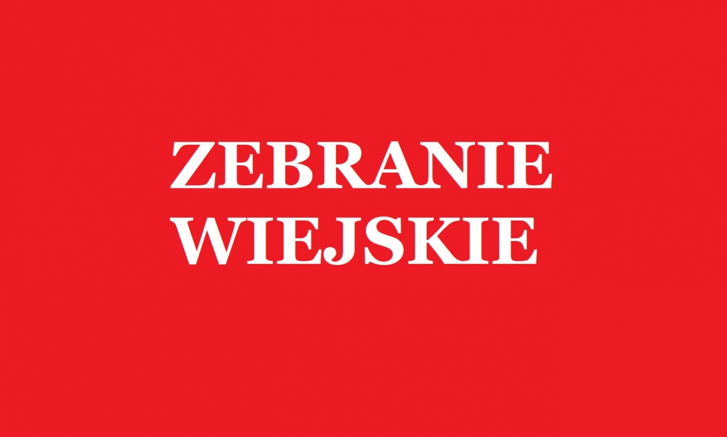 Zdjęcie: Zebranie Wiejskie Sołectwa Tursko