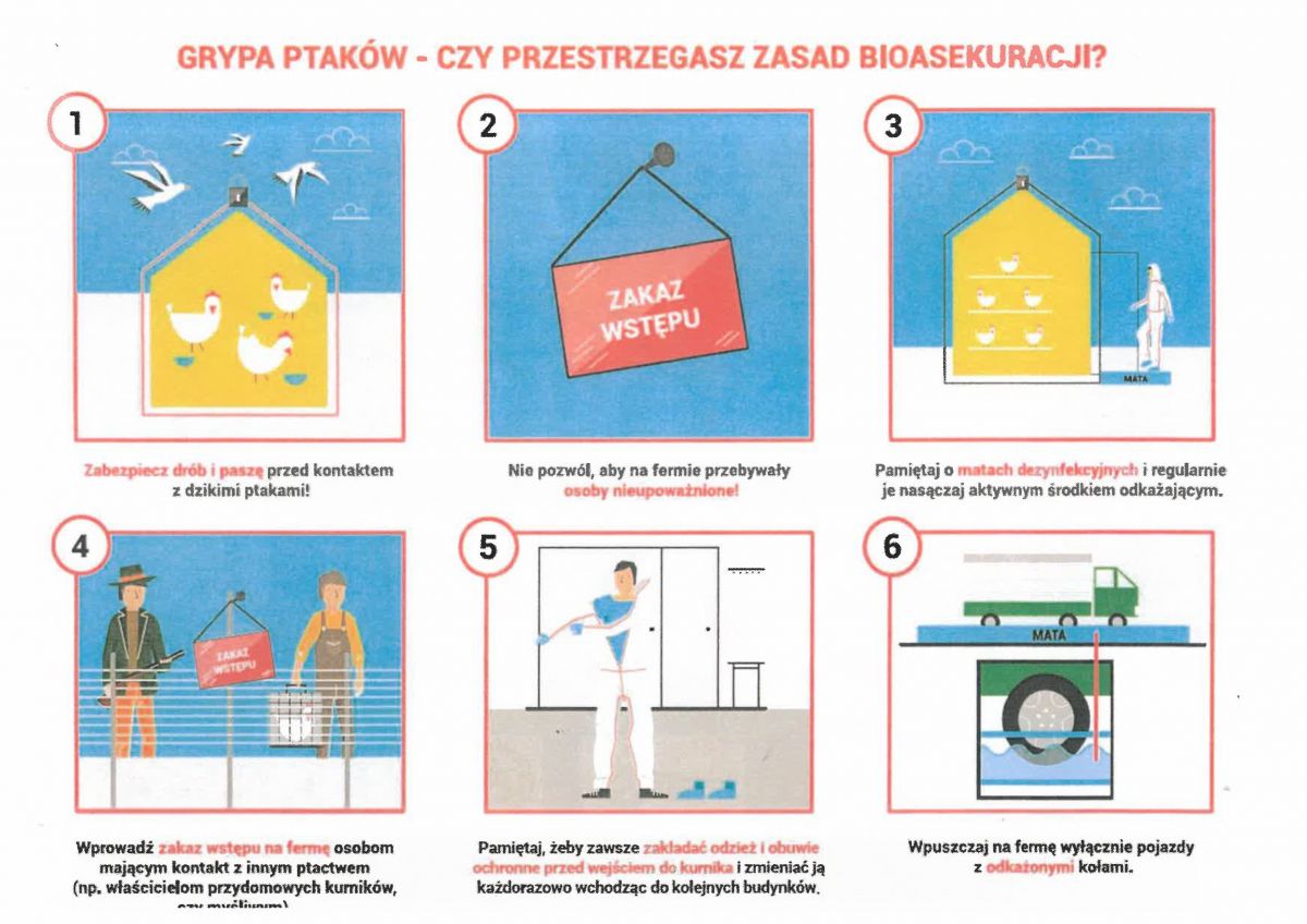 Zasady