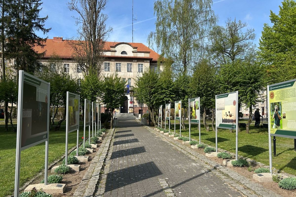 Zdjęcie: Wystawa w miasteckim parku