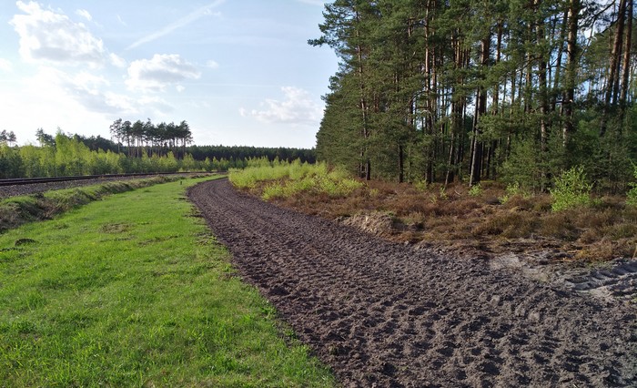 Zdjęcie: Pas przeciwpożarowy na terenach leśnych