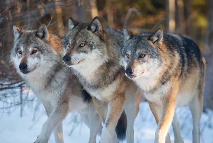 Zdjęcie: Ostrzeżenie dla mieszkańców